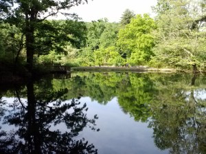long mtn pond